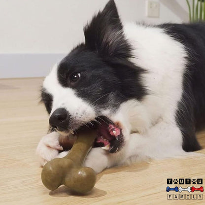 Jouet-indestructible-pour-chien-os-a-mâcher-en-forme-d-os-un-chien-à-forte-morsure-qui-mord-sereinement-son-os-dans-tout-les-angle-et-qui-est-détendu
