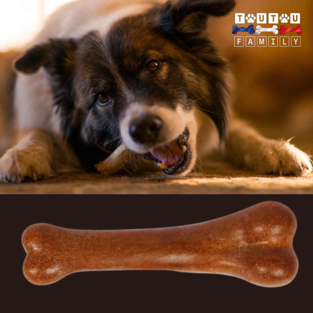 Jouet-indestructible-pour-chien-rustique-mastication-bois-pour-les-petits-moyens-et-grands-chien-3-tailles-adaptées