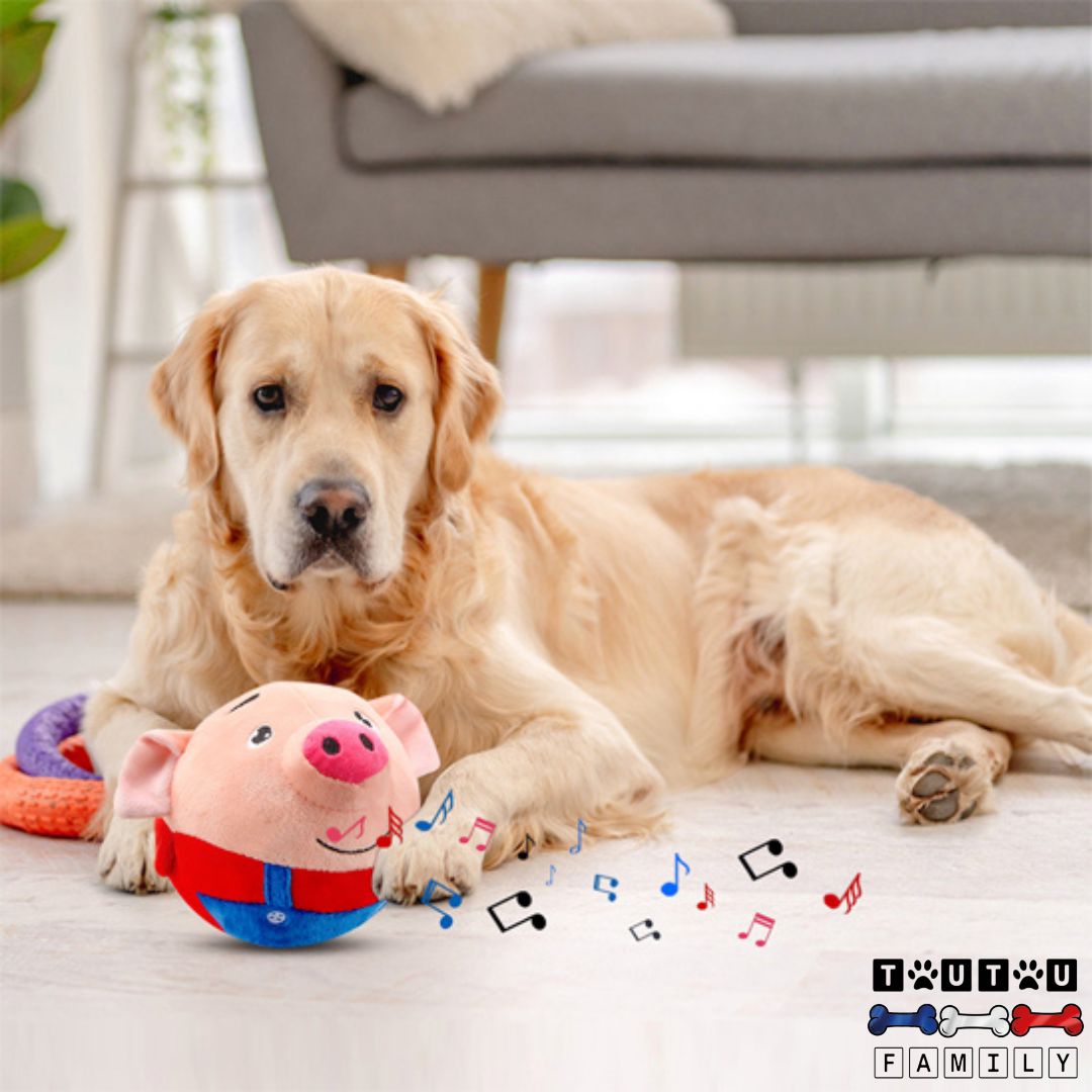 Jouet-interactif-pour-chien-cochon-en-forme-de-balle-avec-une-housse-lavable-en-coton-peluche-rechargeable-avec-son-câble-USB-jouet-d-occupation-anti-ennui-anti-anxiété-de-séparation-anti-stress-dépense-physique-et-mentale-un-chien-avec-son-jouet-interactif-sonore-au-design-cochon