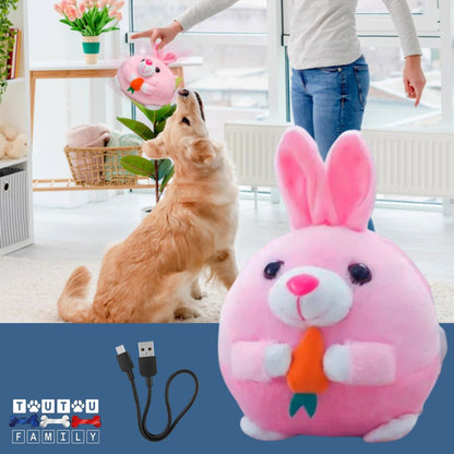Jouet-interactif-pour-chien-lapin-avec-câble-de-recharge-USB-fourni-housse-lavable