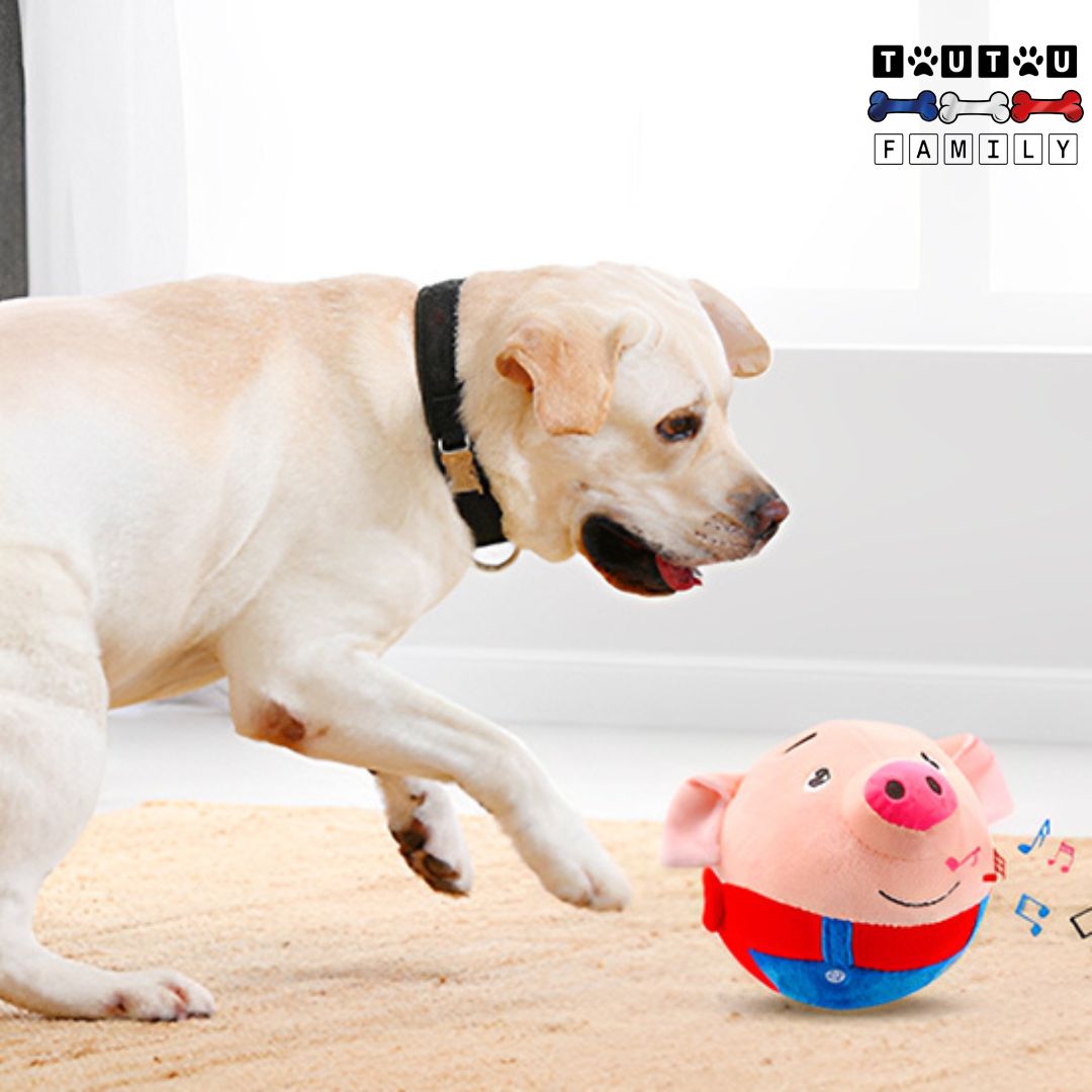 Jouet-interactif-pour-chien-cochon-rechargeable-jouet-pour-chien-énergiques-hype-actif-ayant-besoin-de-beaucoup-d-exercice-physique-un-grand-chien-qui-court-et-donne-un-coup-de-patte-au-jouet-qui-bouge-rebondit-sonore-et-vibrant-avec-détecteur-de-mouvement-rechargeable-avec-sa-prise-USB