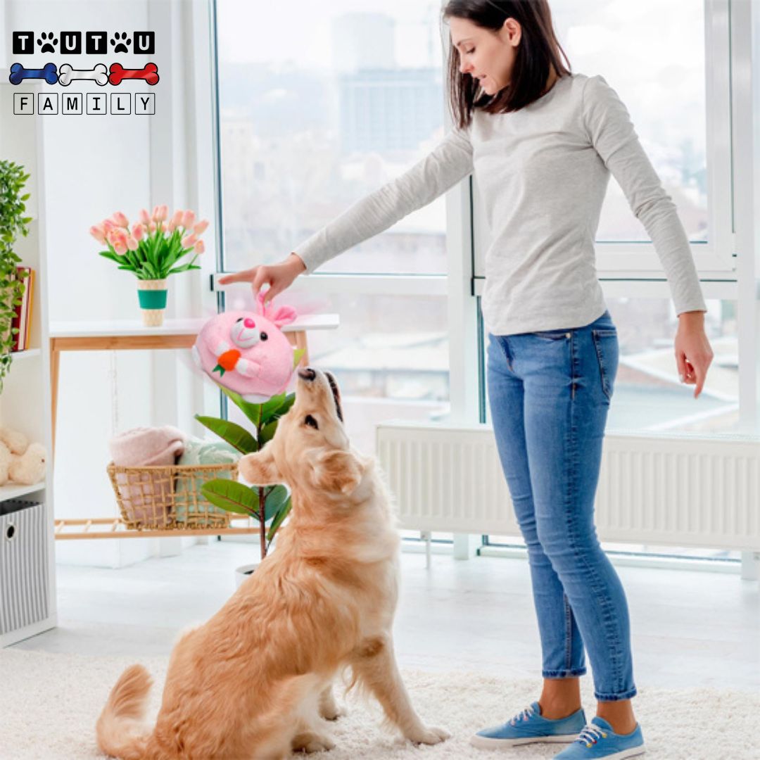 Jouet-interactif-pour-chien-lapin-qui-saute-tout-seule-pour-les-races-de-chien-hyperactive-à-haute-énergie-avec-des-besoins-d-activité-importants-jouet-idéal-en-cas-de-mauvais-temps-quand-le-chien-s-ennuie-chien-d-appartement-une-maitresse-qui-tend-le-jouet-en-peluche-lapin-et-le-donne-à-son-chien-tout-heureux-d-y-jouer