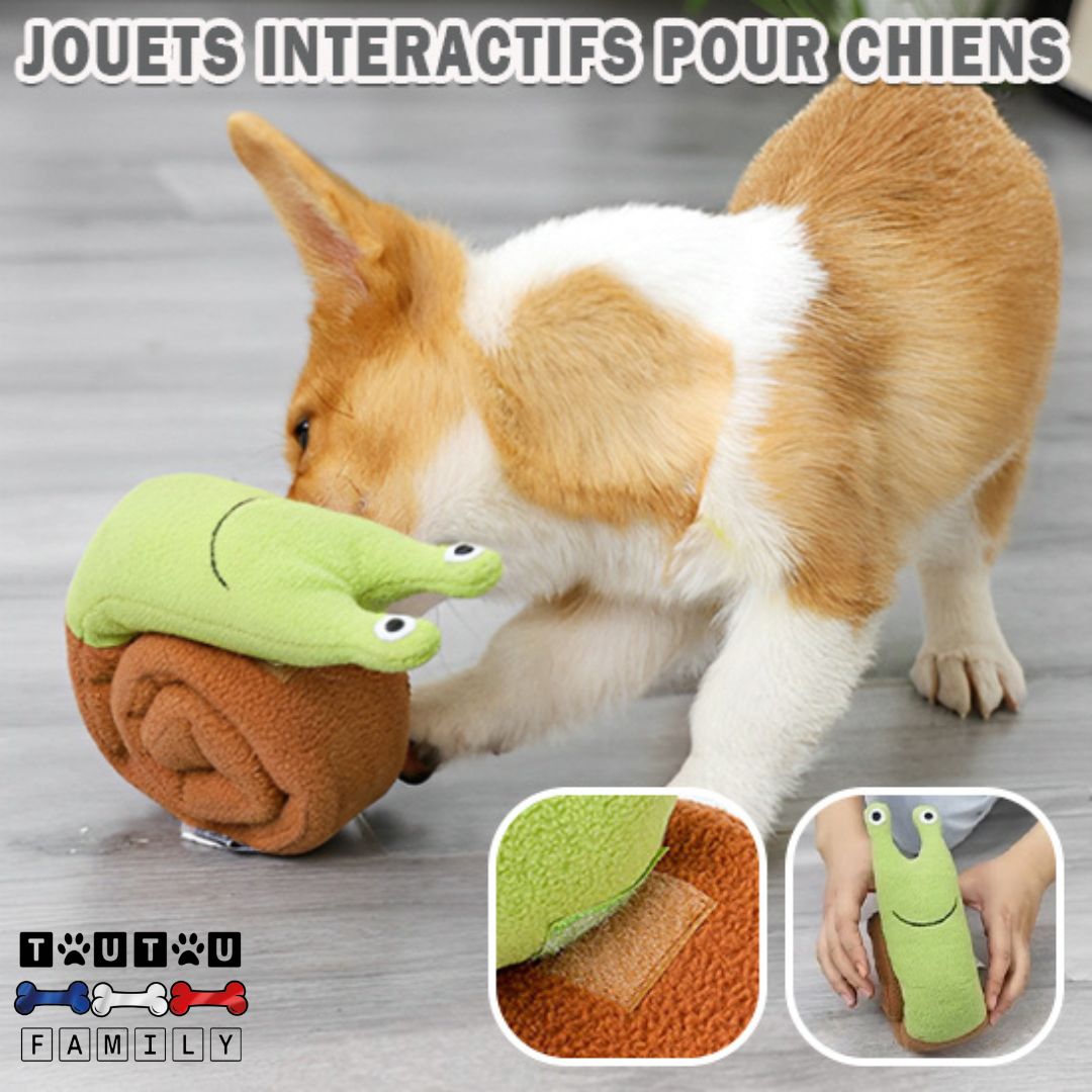 jouet-occupation-chien-escargot