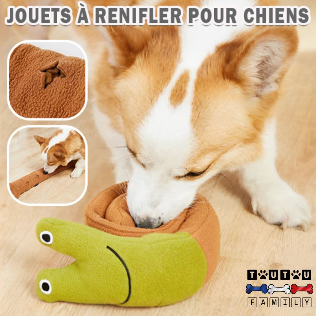 jouet-occupation-chien-intelligence