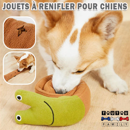 jouet-occupation-chien-intelligence