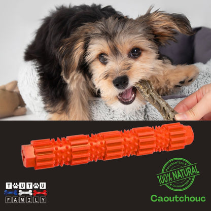 jouet-pour-chien-a-macher-chiot-chien-toy