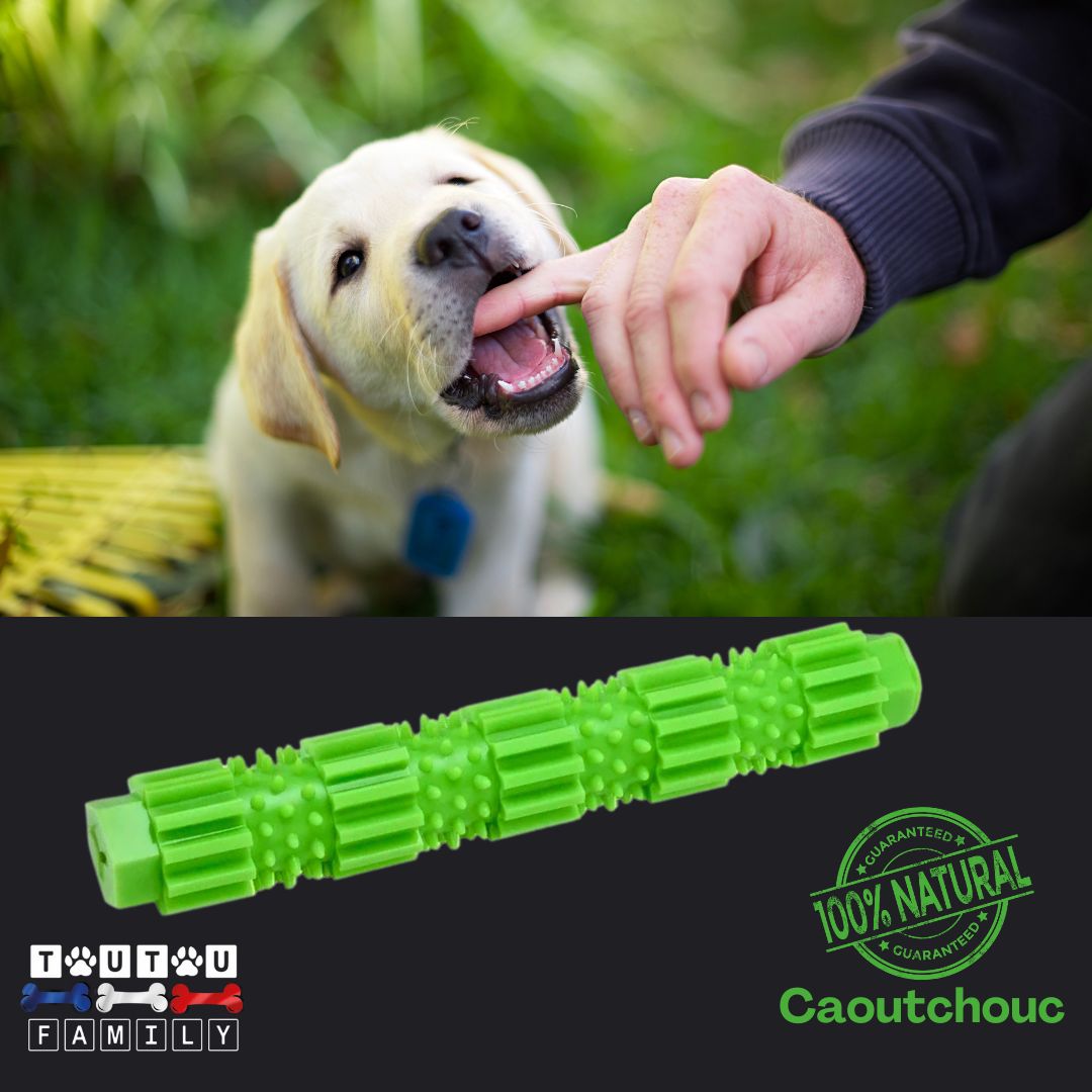 jouet-pour-chien-a-macher-chiot-chien-toy-vert