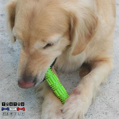 jouet-pour-chien-chiot-a-macher-baton-caoutchouc-a-friandise-chien-qui-mord-le-jouet-mis-entre-ses-pattes