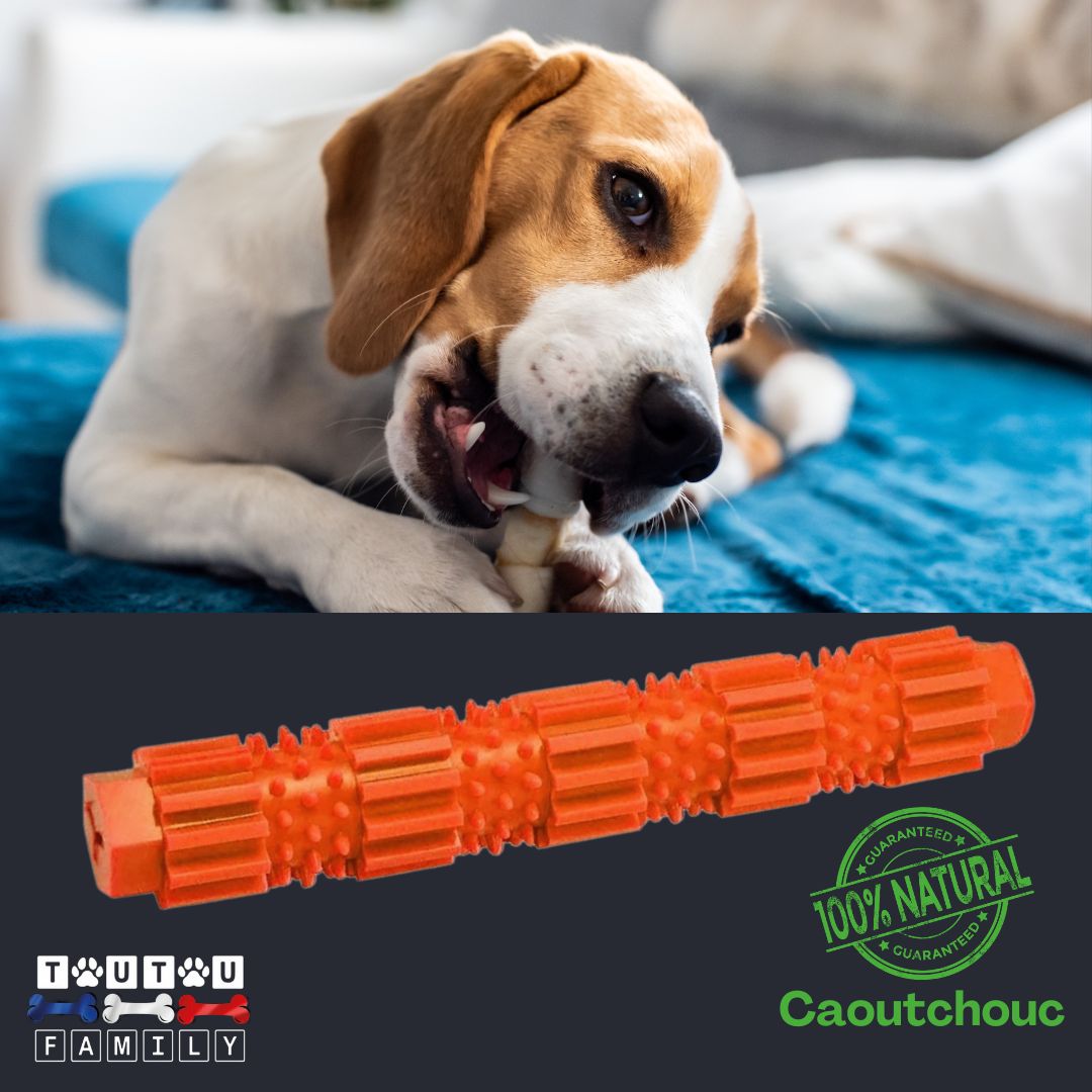 jouet-pour-chien-a-macher-pour-chien-de-taille-petite-ou-de-moyenne-taille