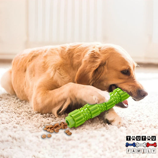 jouet-pour-chien-chiot-a-macher-baton-caoutchouc-vert-un-chien-couché-avec-le-jouet-en-forme-de-bâton-rempli-de-croquette