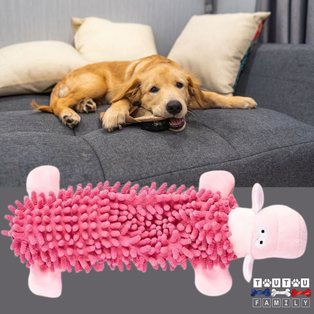 jouet-pour-chien-cochon