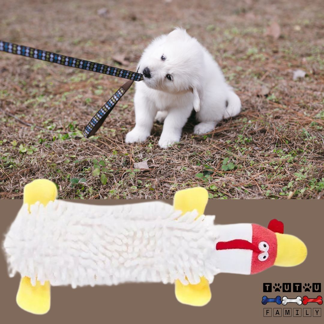 jouet-pour-chien-poulet