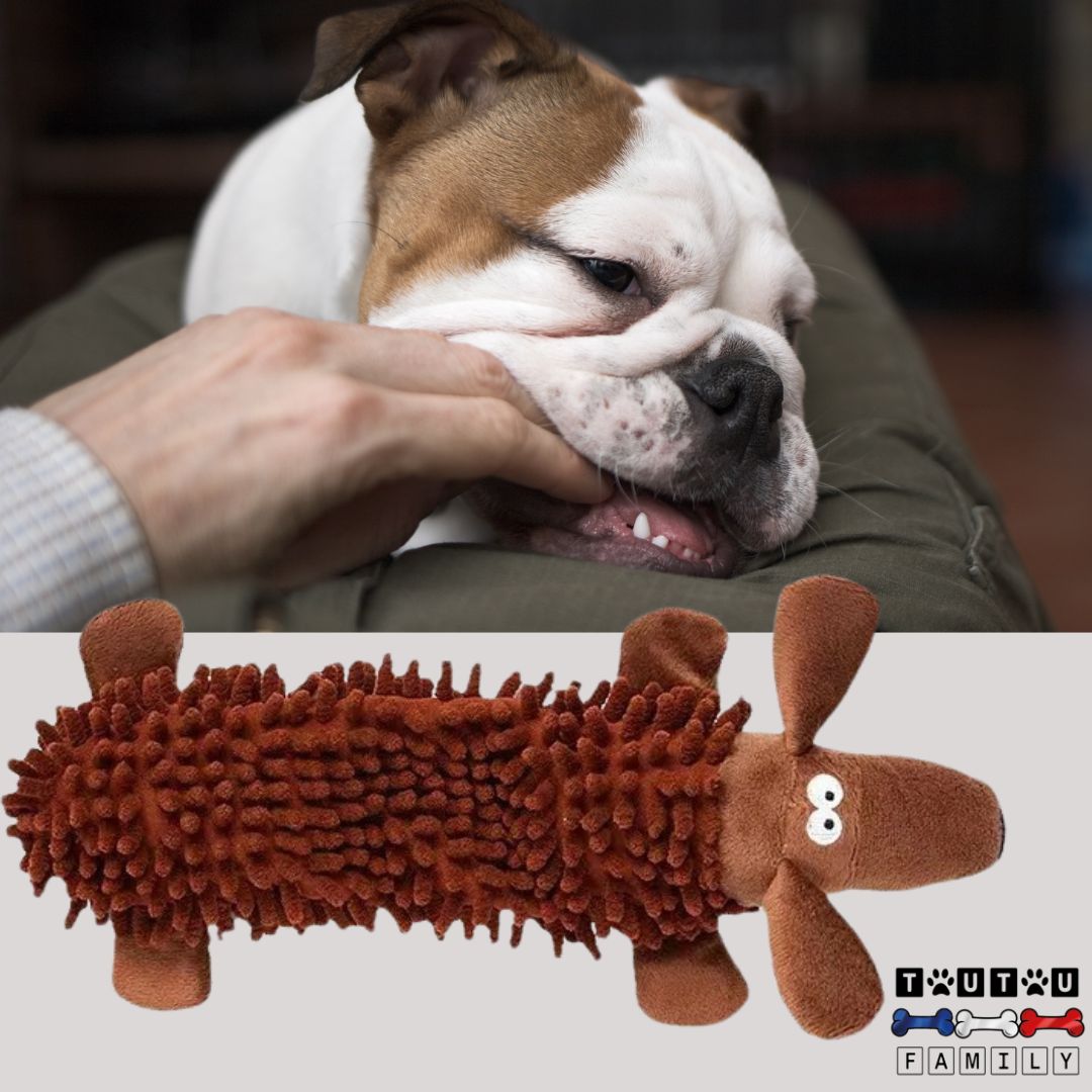 jouet-pour-chien-chiot-a-mordre