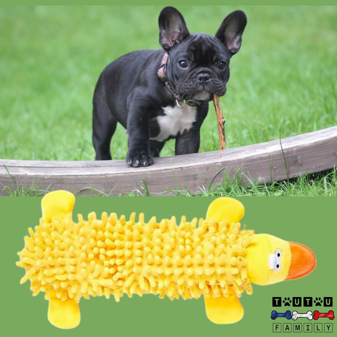 jouet-pour-chien-chiot-canard