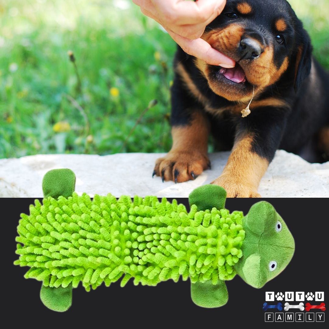 jouet-pour-chien-grenouille