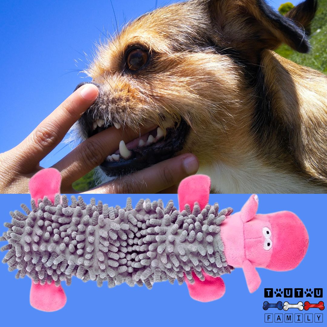 jouet-pour-chien-hippotame