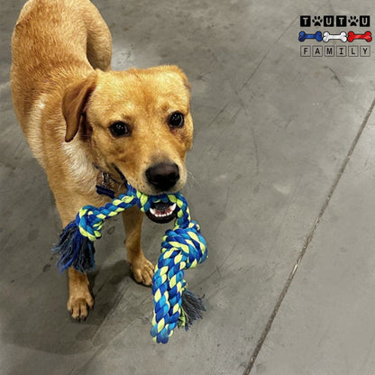 Jouet-pour-chien-indestructible-corde-tressée-un-grand-chien-qui-tient-dans-ses-crocs-la-corde-à-nœud-bleu-jouet-à-mâcher-d-occupation-doux-pour-les-gencive-100%-coton-naturel-nettoie-les-dents