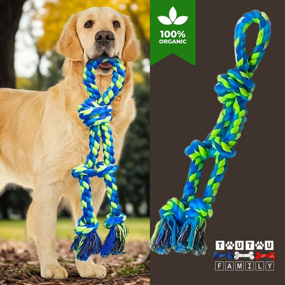 Jouet-pour-chien-indestructible-corde-avec-poignée-bleue-un-golden-retriever-qui-tient-sa-corde-épaisse-avec-poignée-de-couleur-bleue-dans-sa-machoire