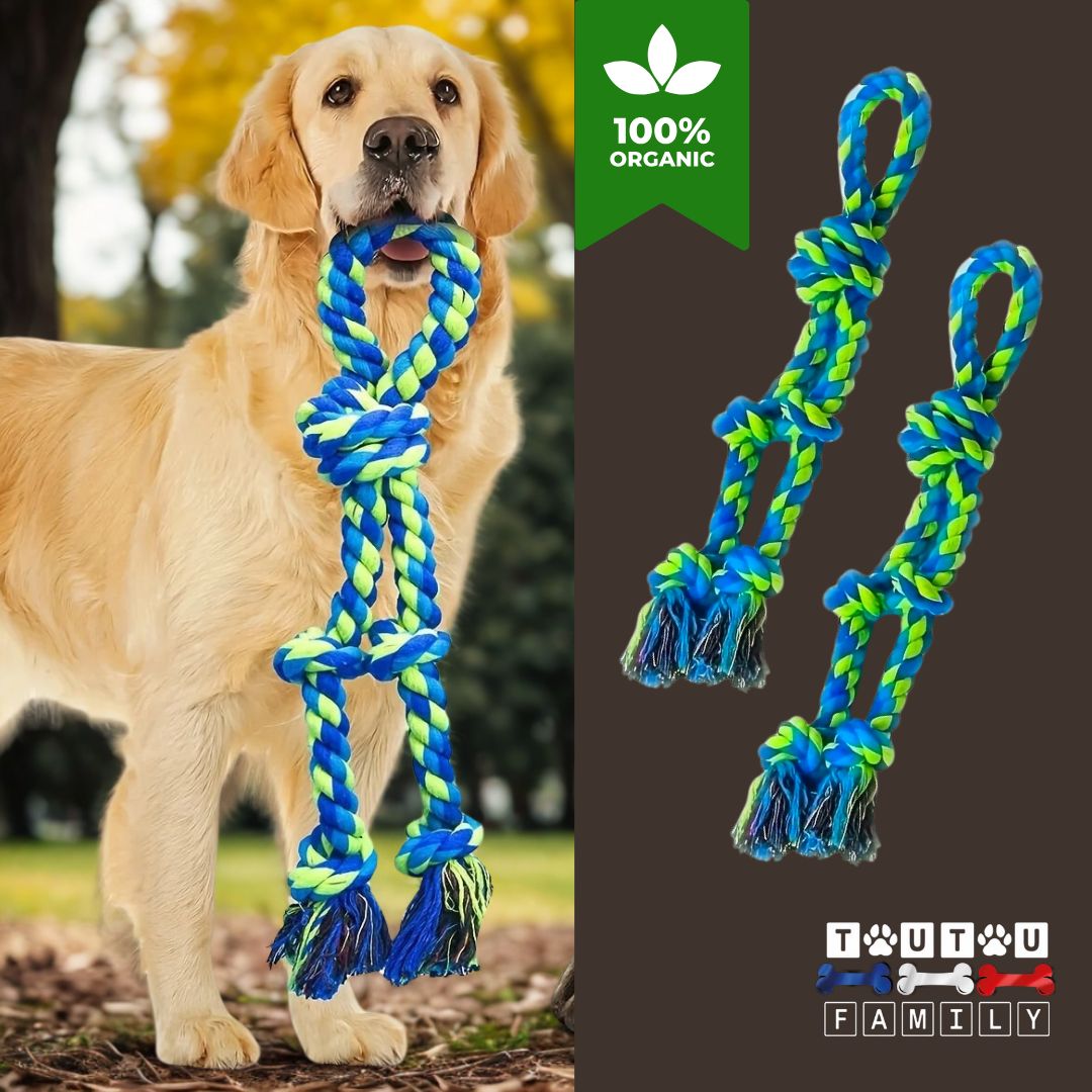 Jouet-pour-chien-indestructible-corde-avec-poignée-bleue-u-grand-chien-qui-tient-dans-ses-crocs-une-corde-bleu-100%-coton-épaisse-et-solide