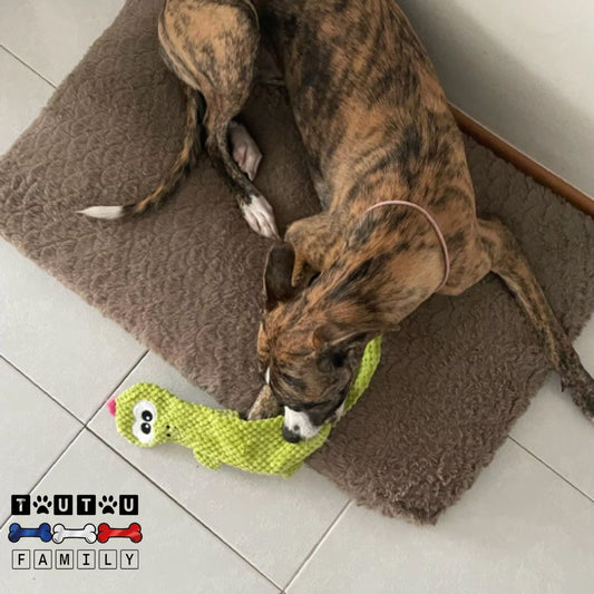 jouet-pour-chien-chiot-peluche-lézard-sans-rembourrage-lavable-en-machine