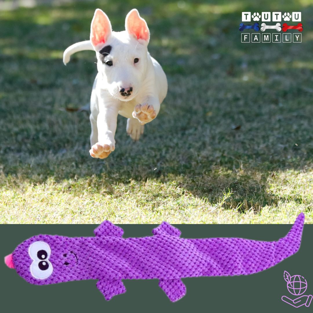 Jouet-pour-chien-peluche-lézard-violet-un-chiot-qui-court-pour-attrapper-sa-peluche
