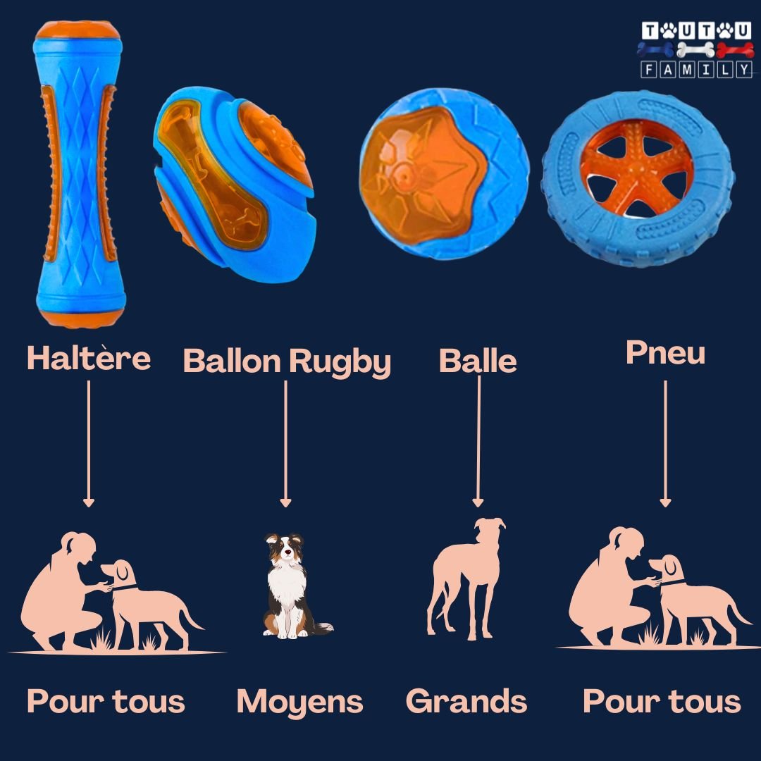 jouet-pour-chien-aquatique-avec-couineur-guide-des-tailles-pour-tout-les-chiens
