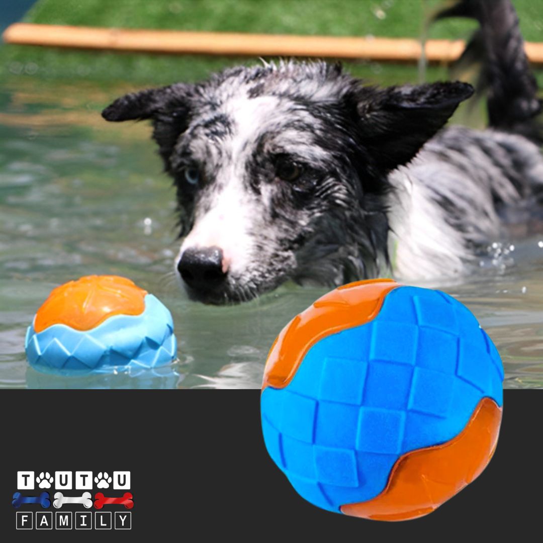 Jouet-pour-chien-balle-qui-couine-balle-qui-flotte-pour-chien