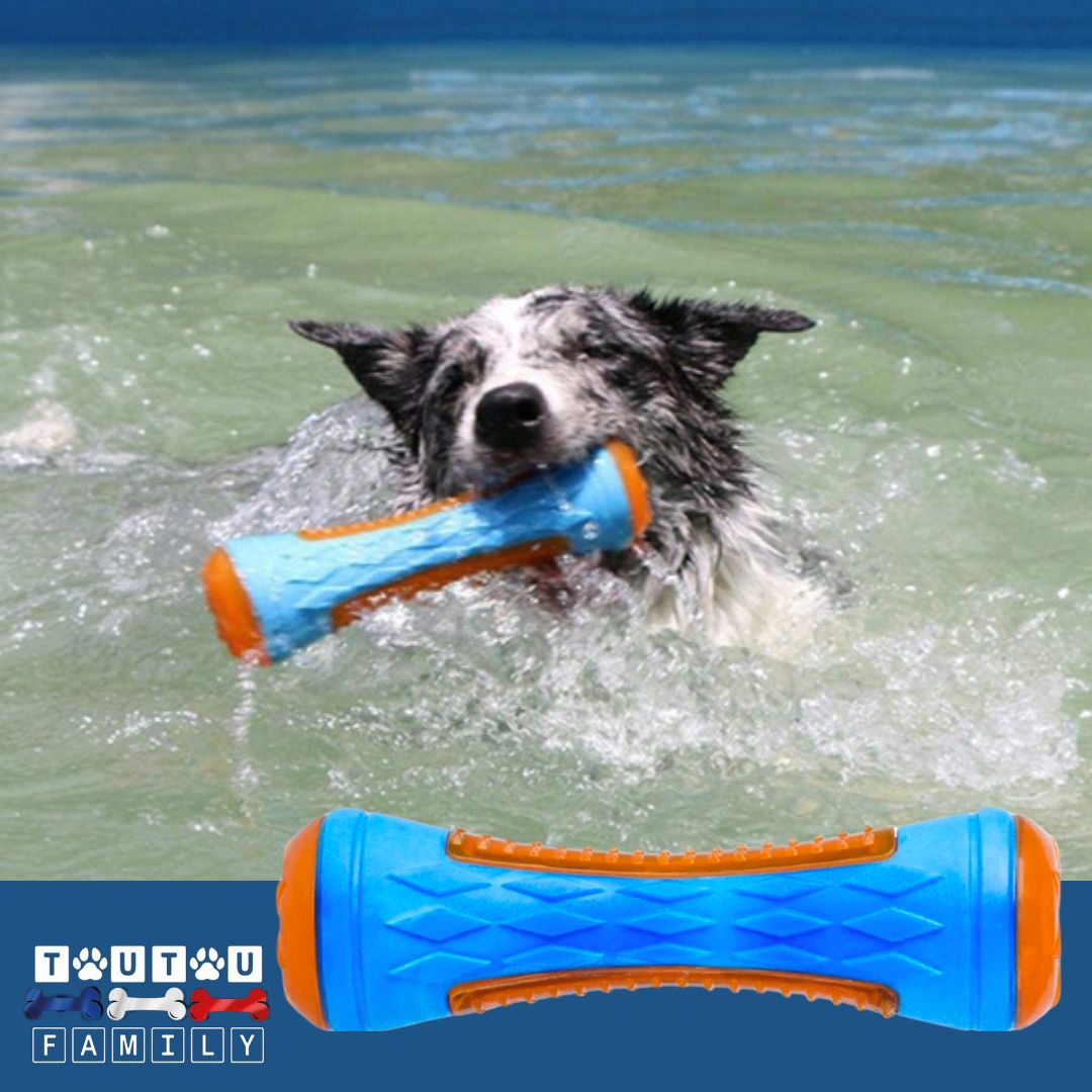 Jouet-pour-chien-haltere-design-nettoie-les-dents-du-chien-masse-ses-gencives