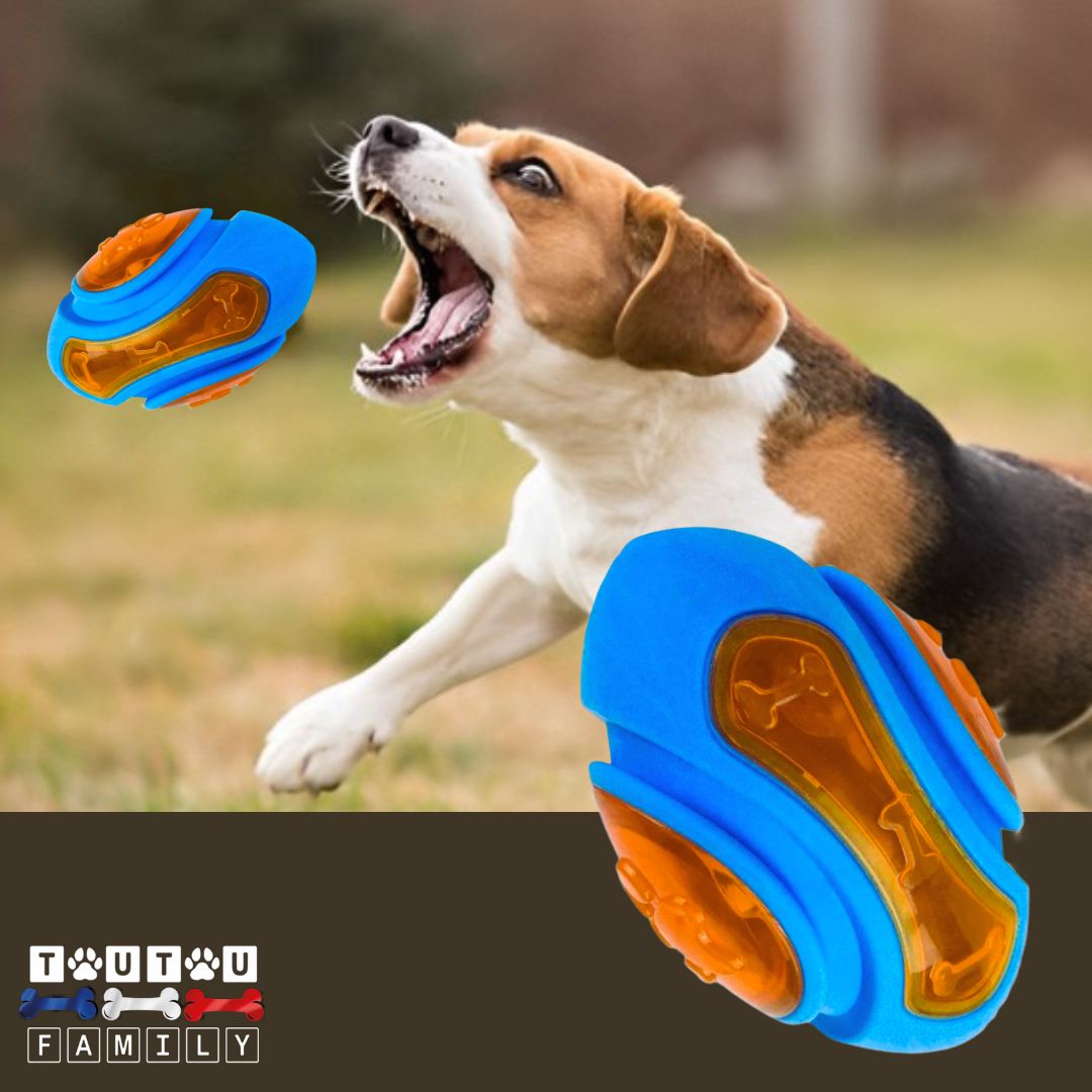 Jouet-pour-chien-ballon-de-rugby-en-caoutchouc-résistant-aux-morsures
