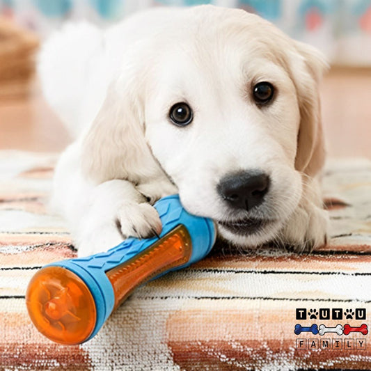jouet-interactif-pour-chien-solide-a-macher-nettoie-les-dent-et-le-tartre