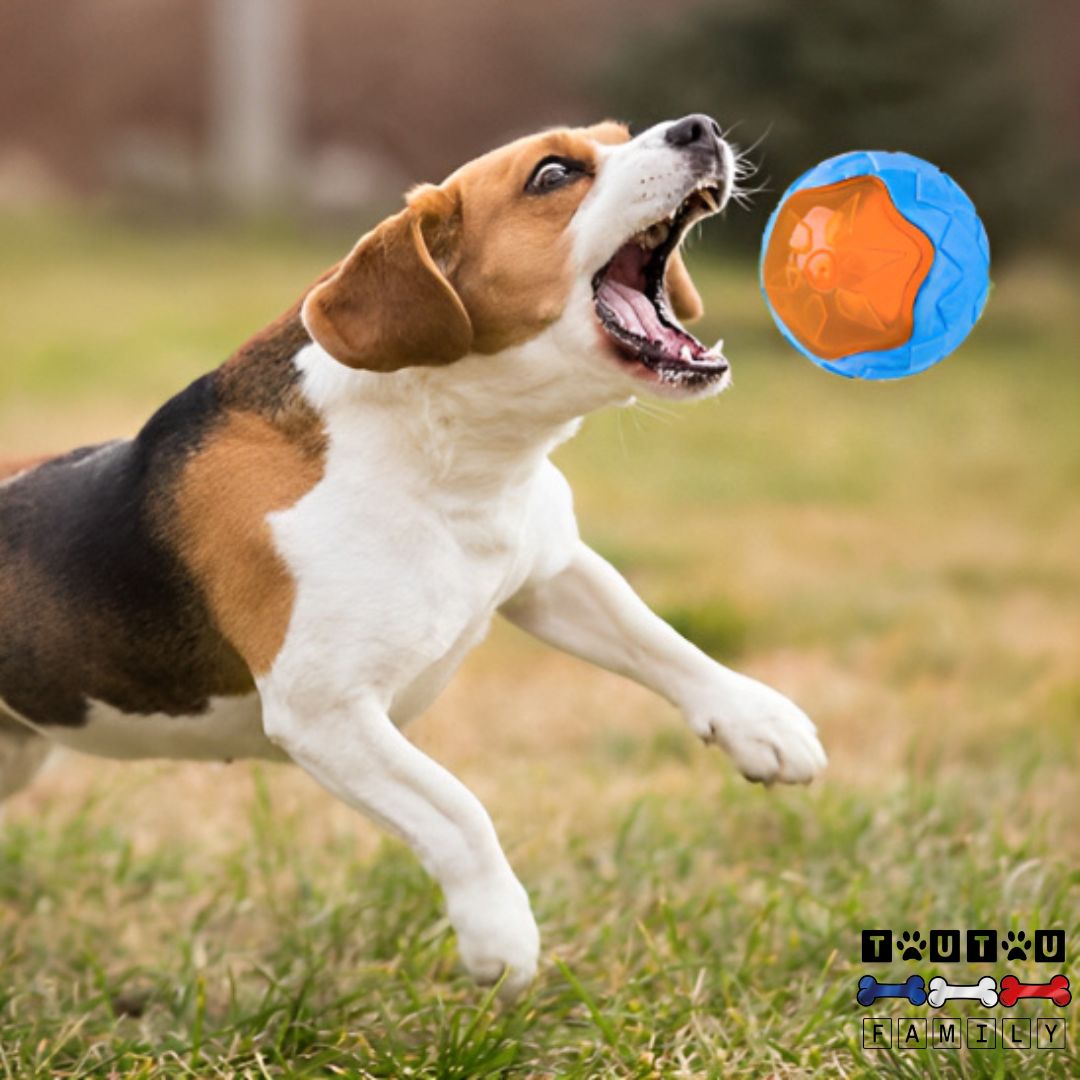 jouet-interactif-pour-chien-multifonction-3-en-1