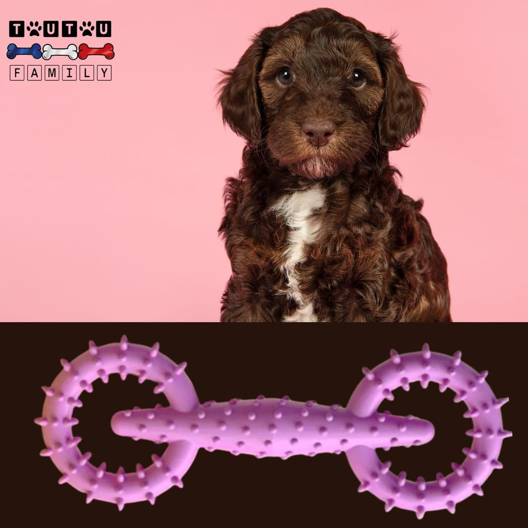 Jouet-pour-chiot-indestructible-violet-un-chiot-de-race-moyenne-avec-son-jouet-de-dentition-indestructible
