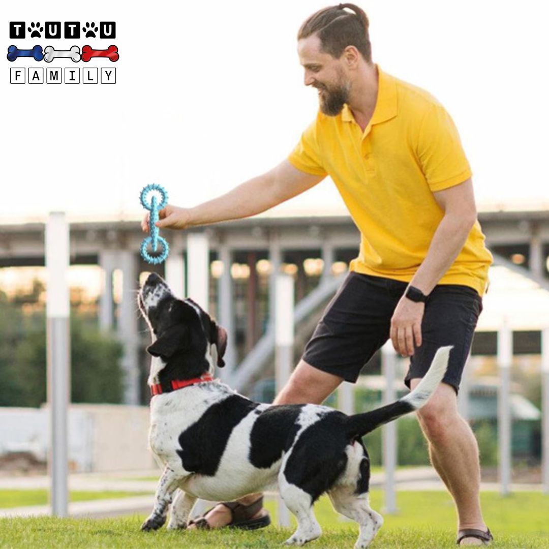 Jouet-pour-chiot-indestructible-jouet-indestructible-un-maitre-et-son-chien-qui-joue-au-jeu-de-traction-avec-le-jouet-double anneau-en-caoutchouc