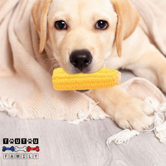 jouet-pour-chiot-et-petit-chien-solide-un-chiot-labrador-qui-tient-dans-sa-mâchoire-le-jouet-en-forme-de-maïs-en-caoutchouc-naturel-souple-et-lavable