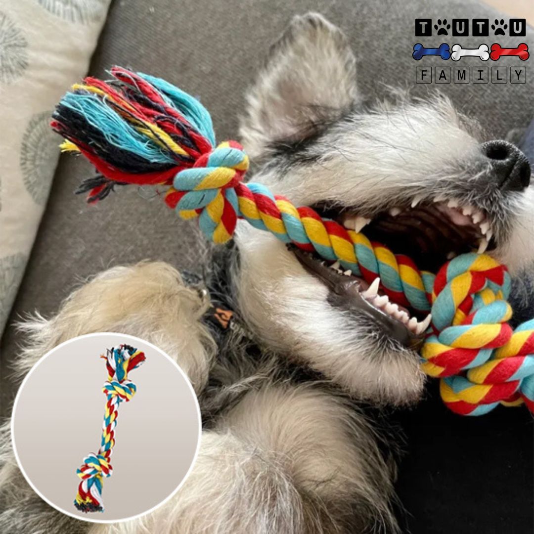 jouet-pour-chien-corde-jouet-pour-chien-qui-mordille