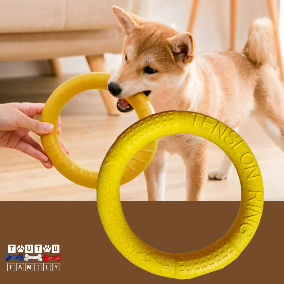 jouet-solide-pour-chien-anneau-jeu-d-eau-jaune-pour-chien-et-chiot-e-petite-et-moyenne-taille