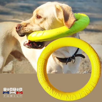 jouet-solide-pour-chien-anneau-jaune-pour-jeu-de-plage-et-d-été-pour-grand-chien