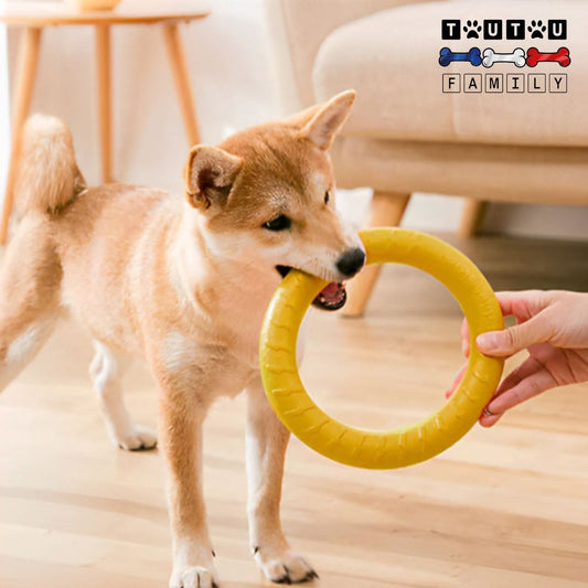jouet-solide-pour-chien-anneau-interactif-un-chien-de-moyenne-taille-avec-le-jouet-en-forme-d-anneau-jaune-dans-son-salon