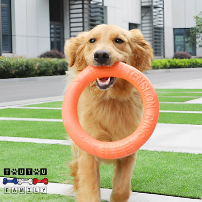 jouet-solide-pour-chien-anneau-caoutchouc-flottant-un-chien-de-grande-taille-dans-le-jardin-qui-court-avec-son-jouet