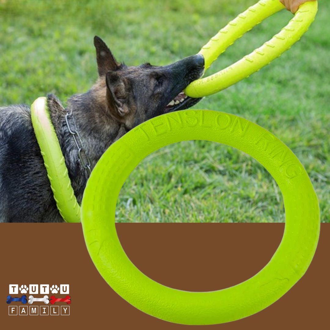 jouet-solide-pour-chien-anneau-vert-pour-chien-de-grande-de-taille