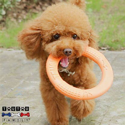 jouet-solide-pour-chien-destructeur-un-caniche-marron-qui-court-avec-le-jouet-en-anneau-dans-sa-machoire