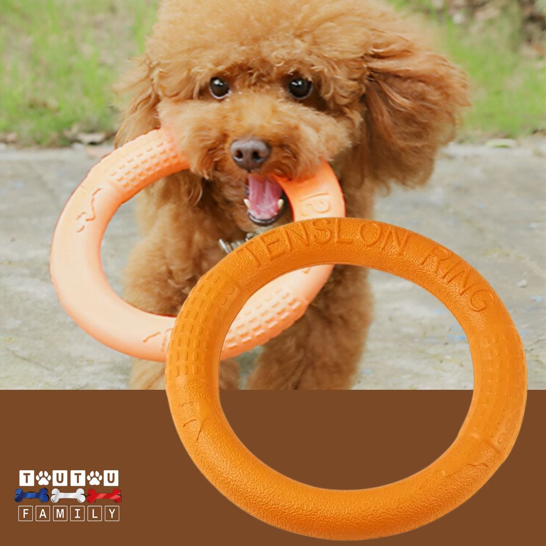 jouet-solide-pour-chien-anneau-flottant-pour-chien-de-petite-taille-et-chiot