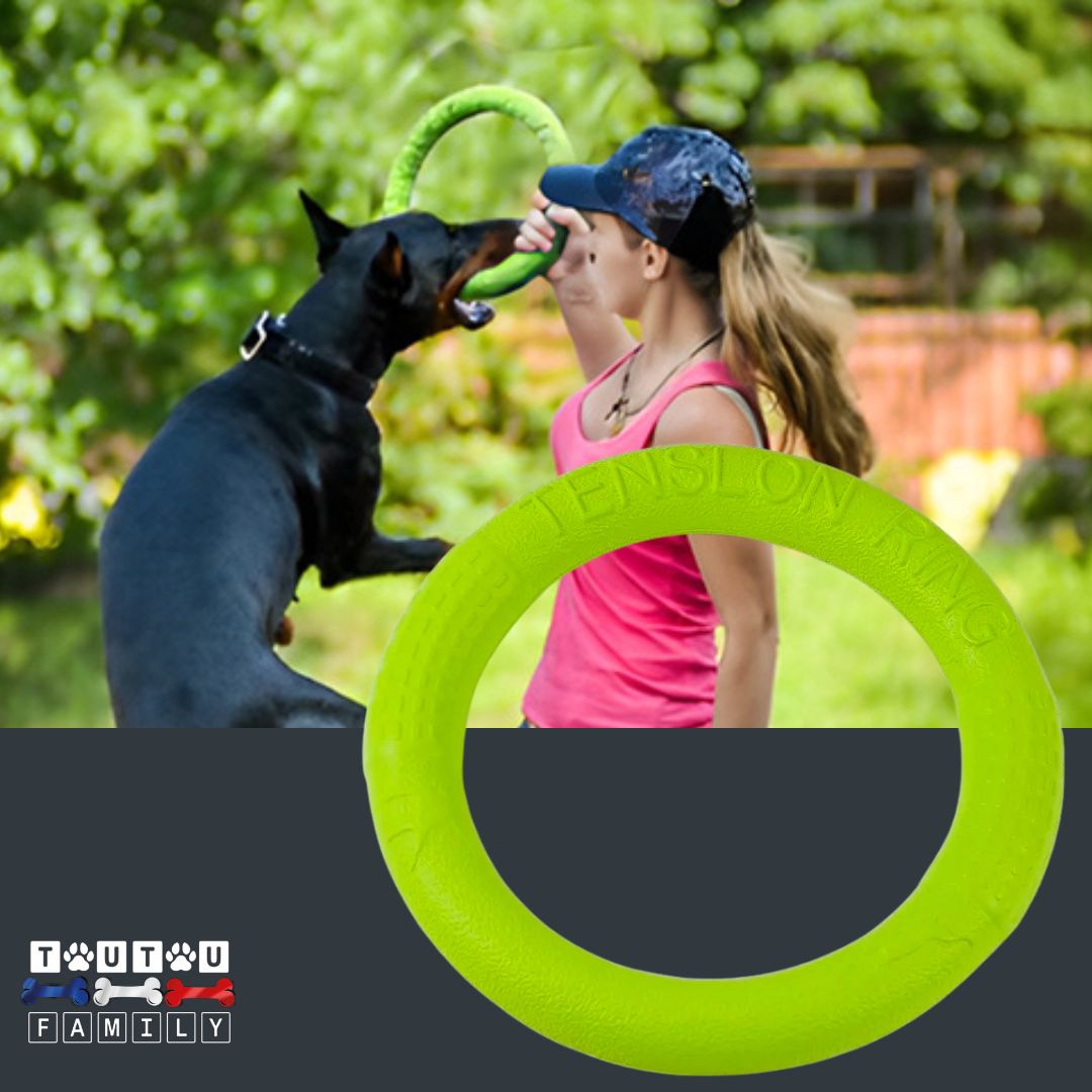 jouet-solide-pour-chien-anneau-jeu-d-eau-vert
