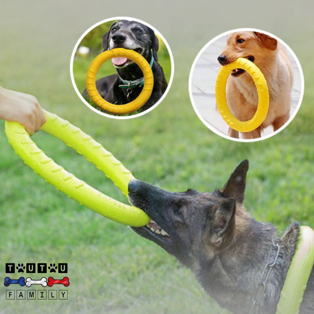 Jouet pour chien interactif - AnneauToutou™