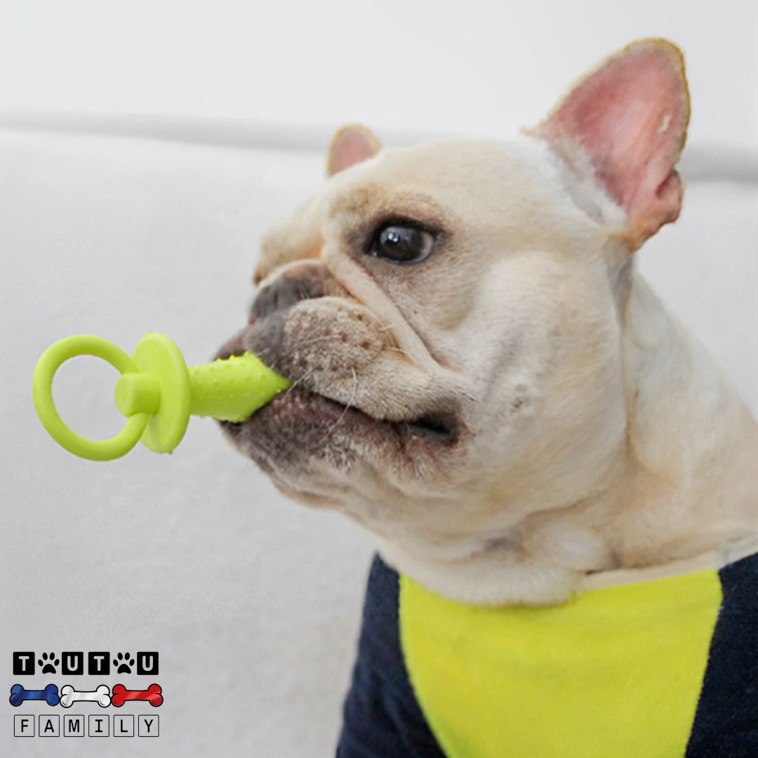 jouets-pour-chiots-poussée-dentaire-tétine-indestructible