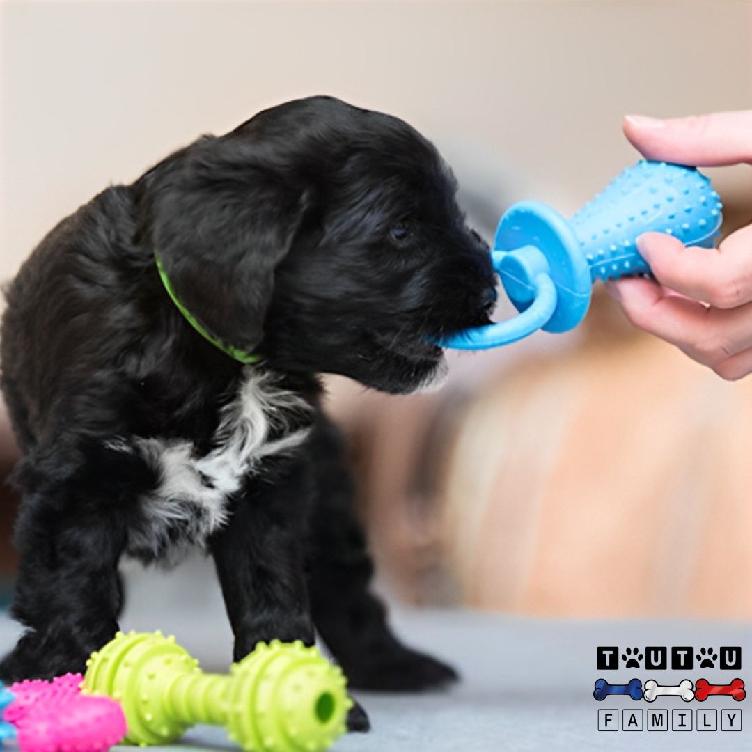 jouets-pour-chiots-pour-mordre-protéger-ses-meubles