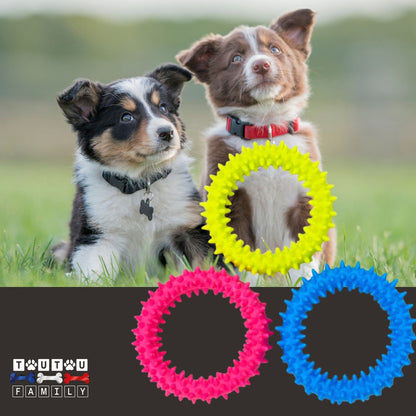 Jouets-pour-chiots-anneau
