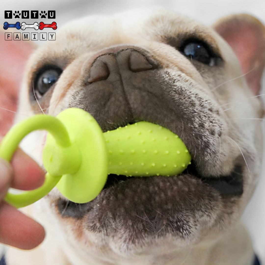 jouets-pour-chiots-sans-danger-en-caoutchouc-naturel-jouet-à-mâcher