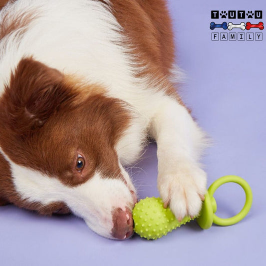 jouets-pour-chiots-indestructible-en-forme-de-tétine-caoutchouc-haute-résistance