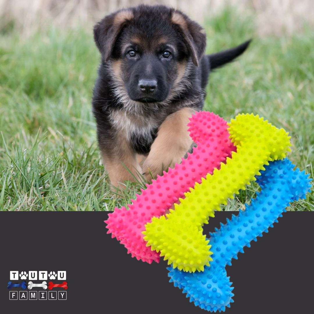 Jouets-pour-chiots-os